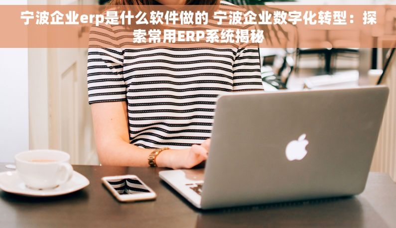 宁波企业erp是什么软件做的 宁波企业数字化转型：探索常用ERP系统揭秘