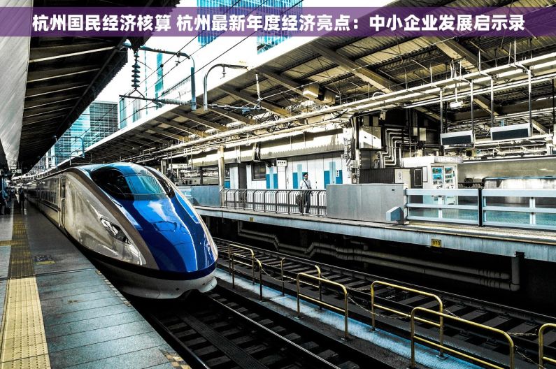 杭州国民经济核算 杭州最新年度经济亮点：中小企业发展启示录