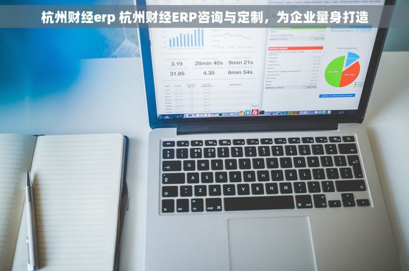 杭州财经erp 杭州财经ERP咨询与定制，为企业量身打造