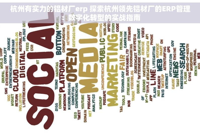 杭州有实力的铝材厂erp 探索杭州领先铝材厂的ERP管理：数字化转型的实战指南