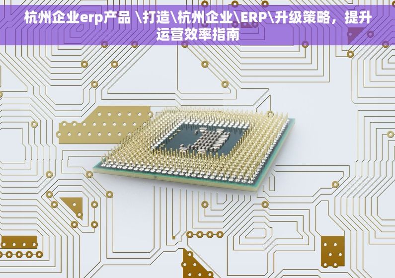 杭州企业erp产品 \打造\杭州企业\ERP\升级策略，提升运营效率指南