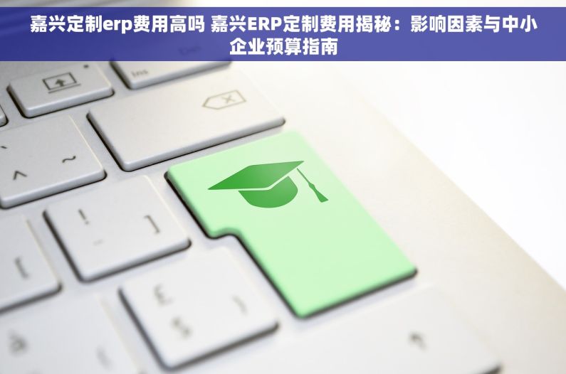 嘉兴定制erp费用高吗 嘉兴ERP定制费用揭秘：影响因素与中小企业预算指南
