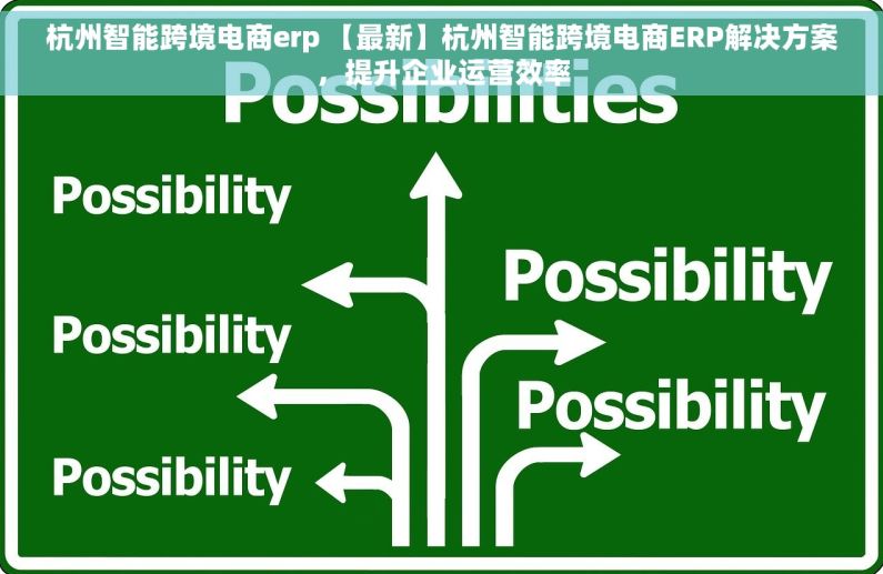 杭州智能跨境电商erp 【最新】杭州智能跨境电商ERP解决方案，提升企业运营效率
