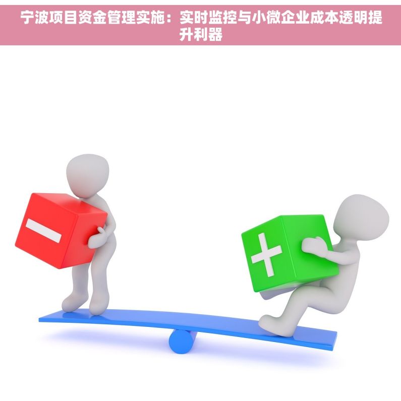 宁波项目资金管理实施：实时监控与小微企业成本透明提升利器