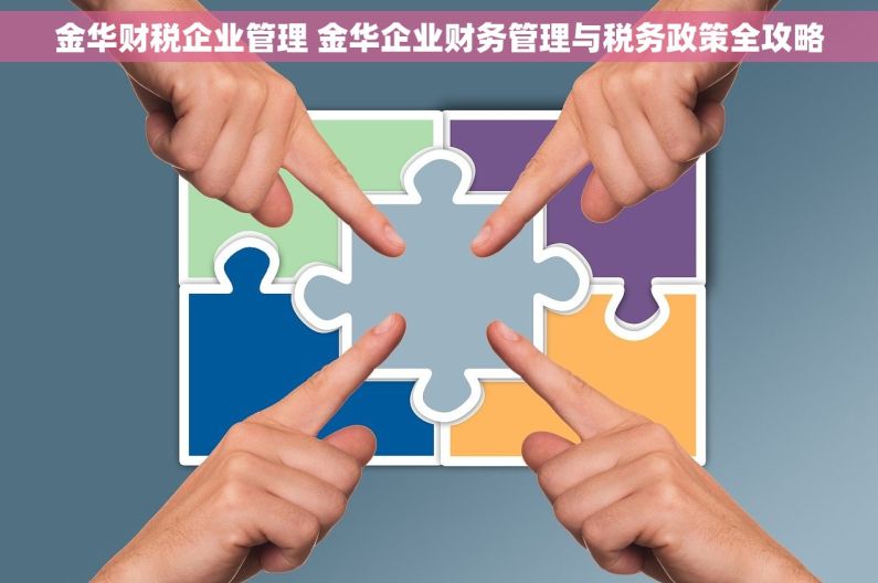 金华财税企业管理 金华企业财务管理与税务政策全攻略