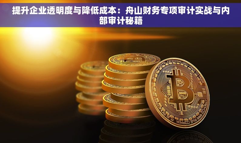 提升企业透明度与降低成本：舟山财务专项审计实战与内部审计秘籍