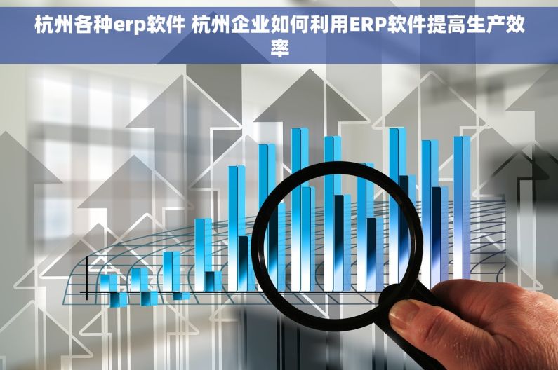 杭州各种erp软件 杭州企业如何利用ERP软件提高生产效率