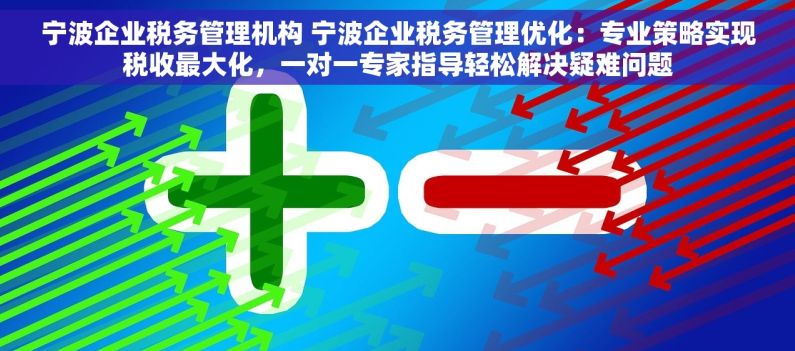 宁波企业税务管理机构 宁波企业税务管理优化：专业策略实现税收最大化，一对一专家指导轻松解决疑难问题