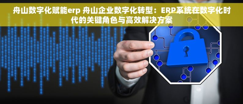 舟山数字化赋能erp 舟山企业数字化转型：ERP系统在数字化时代的关键角色与高效解决方案