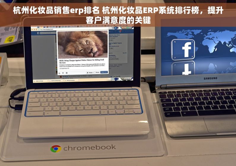 杭州化妆品销售erp排名 杭州化妆品ERP系统排行榜，提升客户满意度的关键