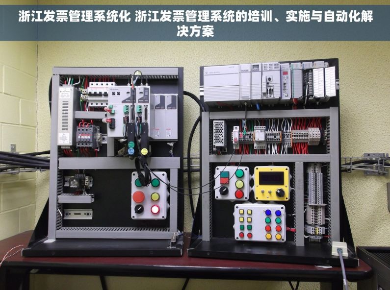 浙江发票管理系统化 浙江发票管理系统的培训、实施与自动化解决方案