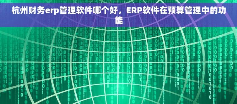 杭州财务erp管理软件哪个好，ERP软件在预算管理中的功能