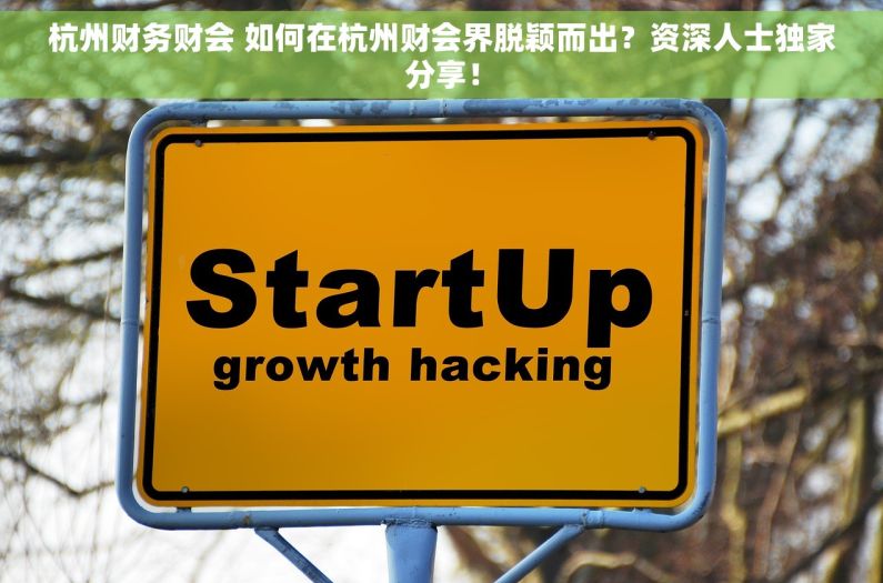 杭州财务财会 如何在杭州财会界脱颖而出？资深人士独家分享！