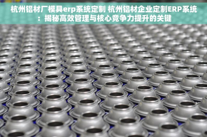 杭州铝材厂模具erp系统定制 杭州铝材企业定制ERP系统：揭秘高效管理与核心竞争力提升的关键