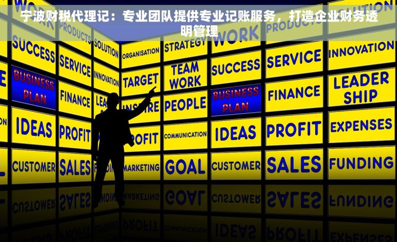 宁波财税代理记：专业团队提供专业记账服务，打造企业财务透明管理