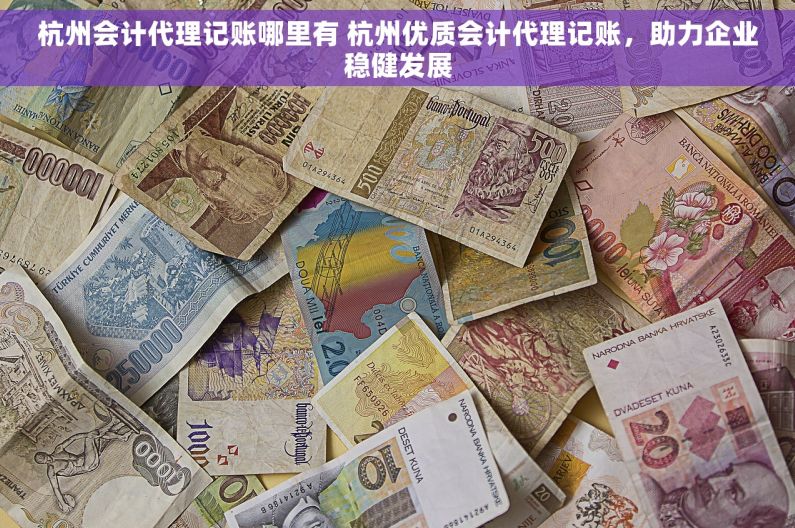 杭州会计代理记账哪里有 杭州优质会计代理记账，助力企业稳健发展