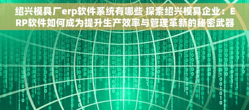 绍兴模具厂erp软件系统有哪些 探索绍兴模具企业：ERP软件如何成为提升生产效率与管理革新的秘密武器