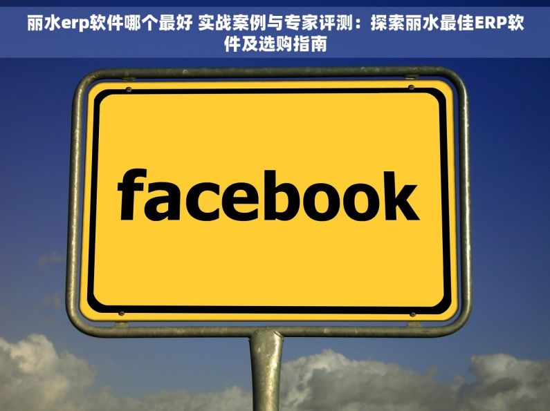 丽水erp软件哪个最好 实战案例与专家评测：探索丽水最佳ERP软件及选购指南