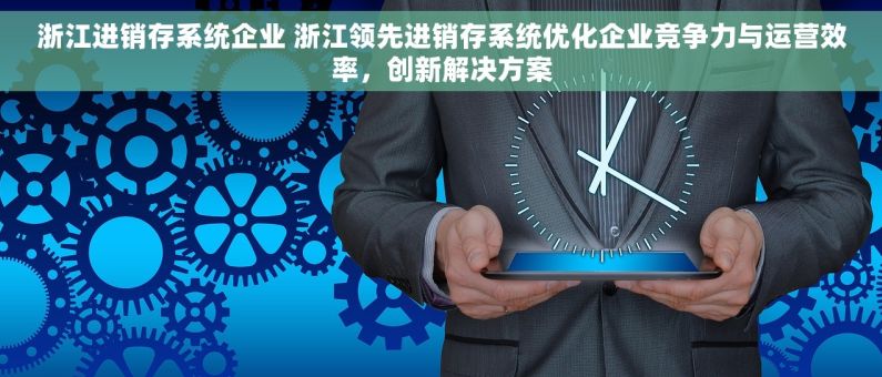 浙江进销存系统企业 浙江领先进销存系统优化企业竞争力与运营效率，创新解决方案