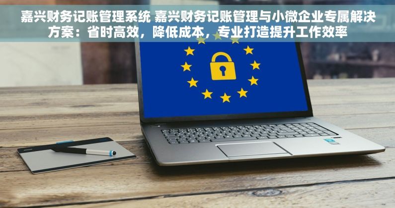 嘉兴财务记账管理系统 嘉兴财务记账管理与小微企业专属解决方案：省时高效，降低成本，专业打造提升工作效率