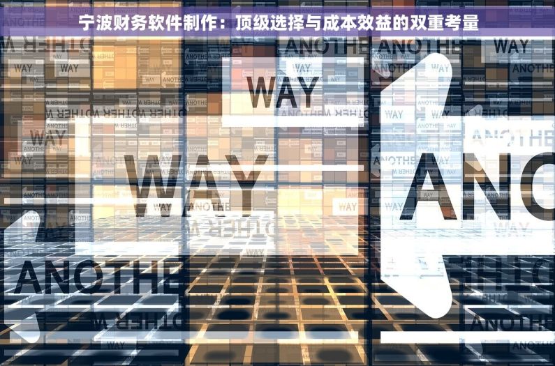 宁波财务软件制作：顶级选择与成本效益的双重考量