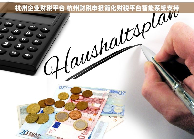 杭州企业财税平台 杭州财税申报简化财税平台智能系统支持