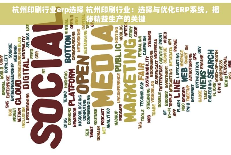 杭州印刷行业erp选择 杭州印刷行业：选择与优化ERP系统，揭秘精益生产的关键