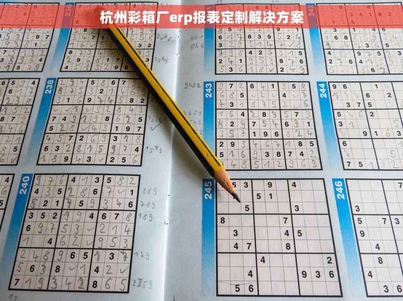 杭州彩箱厂erp报表定制解决方案