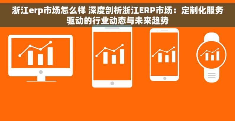 浙江erp市场怎么样 深度剖析浙江ERP市场：定制化服务驱动的行业动态与未来趋势