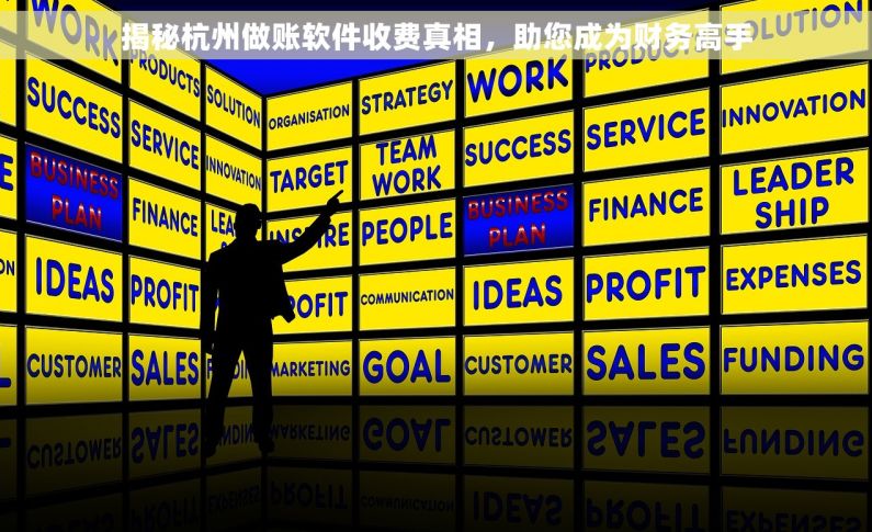 揭秘杭州做账软件收费真相，助您成为财务高手
