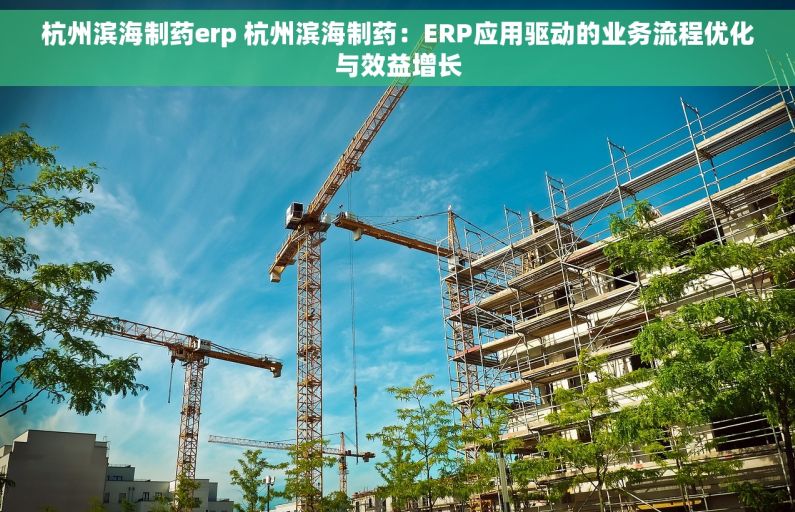 杭州滨海制药erp 杭州滨海制药：ERP应用驱动的业务流程优化与效益增长