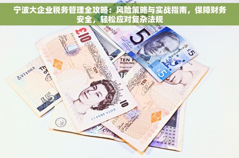宁波大企业税务管理全攻略：风险策略与实战指南，保障财务安全，轻松应对复杂法规