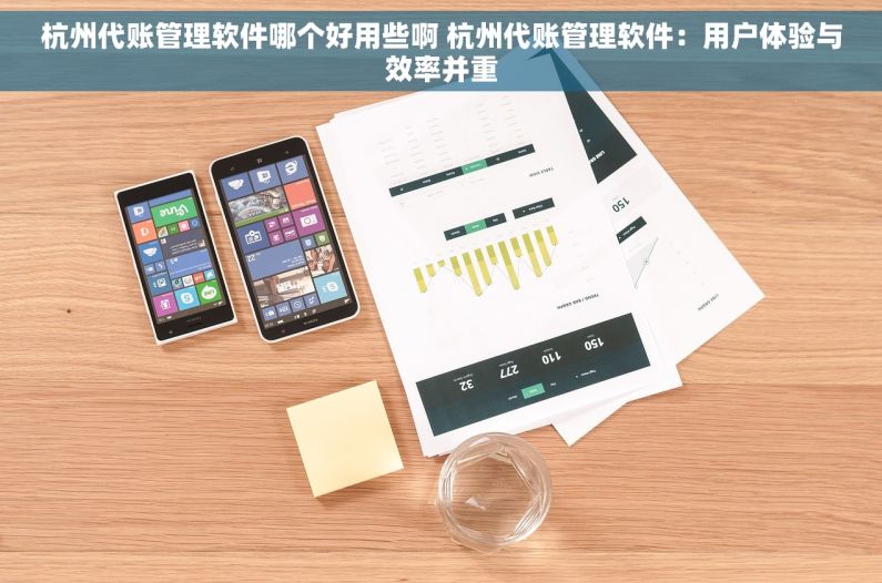 杭州代账管理软件哪个好用些啊 杭州代账管理软件：用户体验与效率并重