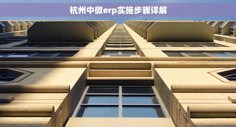 杭州中微erp实施步骤详解