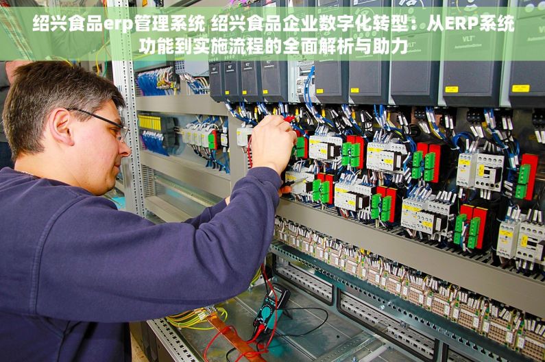 绍兴食品erp管理系统 绍兴食品企业数字化转型：从ERP系统功能到实施流程的全面解析与助力