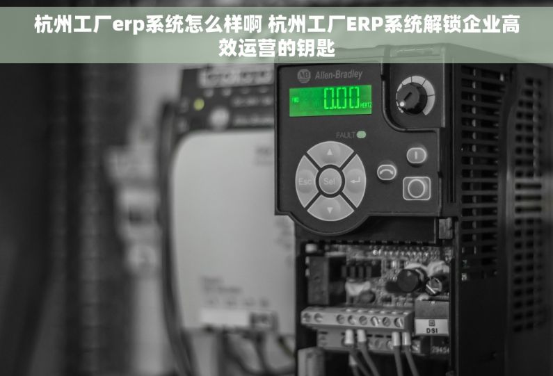 杭州工厂erp系统怎么样啊 杭州工厂ERP系统解锁企业高效运营的钥匙