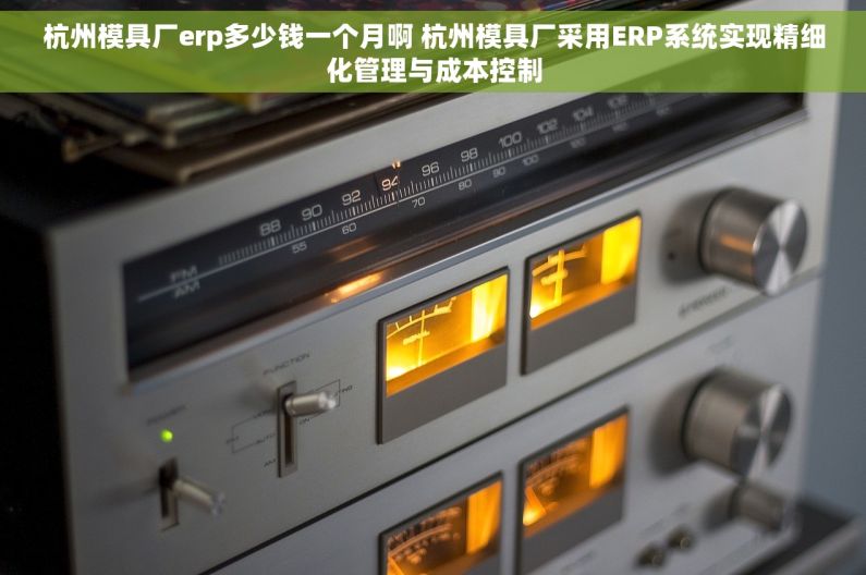 杭州模具厂erp多少钱一个月啊 杭州模具厂采用ERP系统实现精细化管理与成本控制