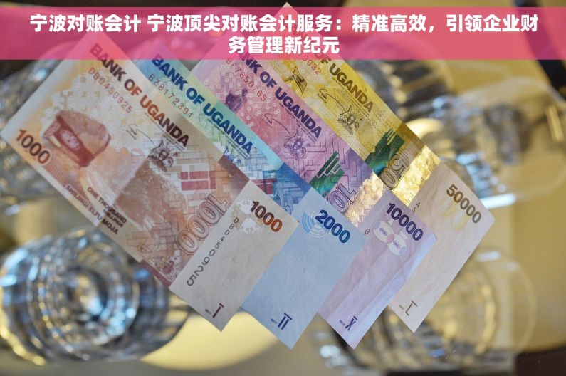 宁波对账会计 宁波顶尖对账会计服务：精准高效，引领企业财务管理新纪元
