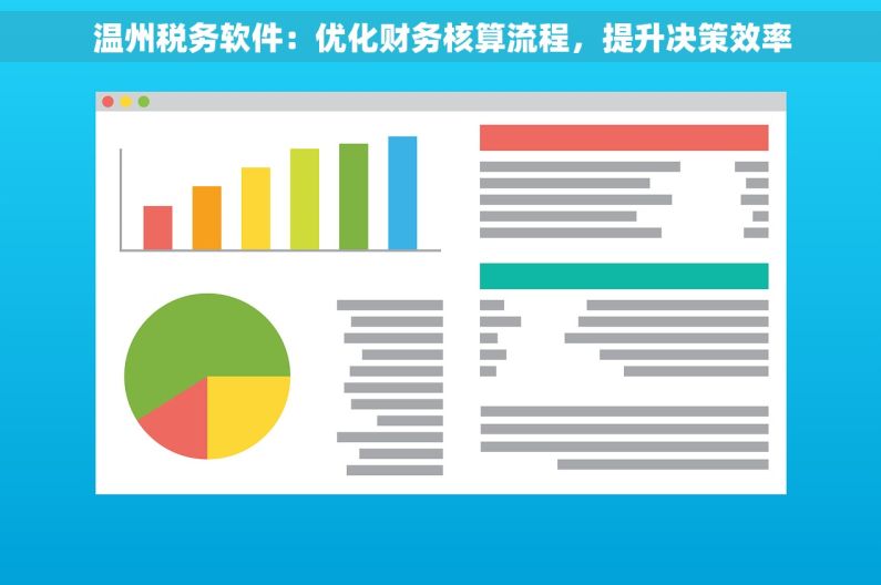 温州税务软件：优化财务核算流程，提升决策效率