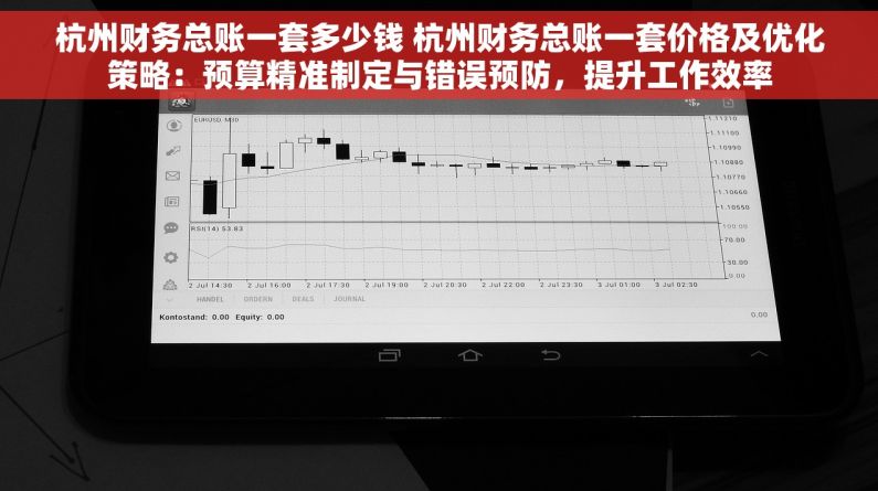 杭州财务总账一套多少钱 杭州财务总账一套价格及优化策略：预算精准制定与错误预防，提升工作效率