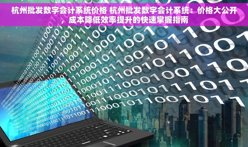 杭州批发数字会计系统价格 杭州批发数字会计系统：价格大公开，成本降低效率提升的快速掌握指南