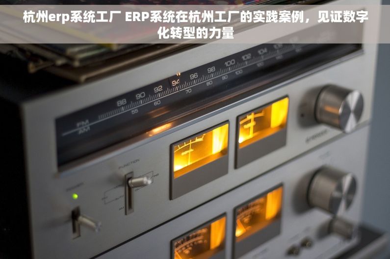 杭州erp系统工厂 ERP系统在杭州工厂的实践案例，见证数字化转型的力量