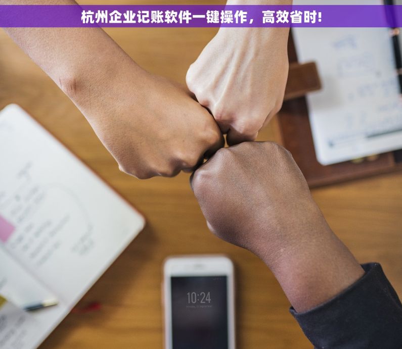杭州企业记账软件一键操作，高效省时!