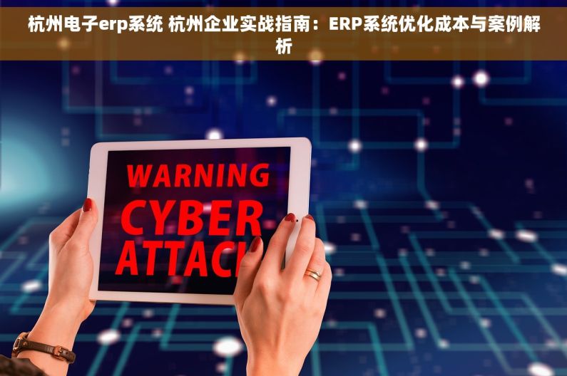 杭州电子erp系统 杭州企业实战指南：ERP系统优化成本与案例解析