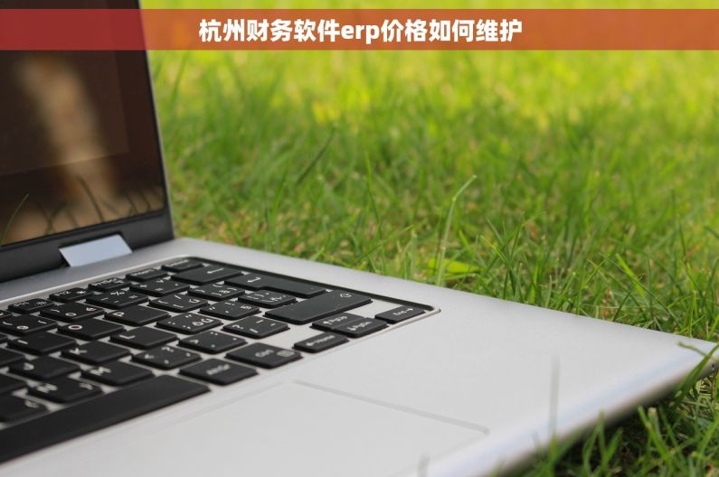 杭州财务软件erp价格如何维护