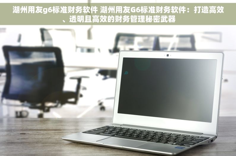 湖州用友g6标准财务软件 湖州用友G6标准财务软件：打造高效、透明且高效的财务管理秘密武器