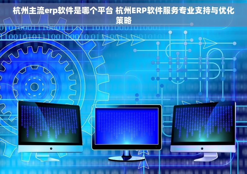 杭州主流erp软件是哪个平台 杭州ERP软件服务专业支持与优化策略
