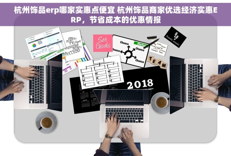 杭州饰品erp哪家实惠点便宜 杭州饰品商家优选经济实惠ERP，节省成本的优惠情报