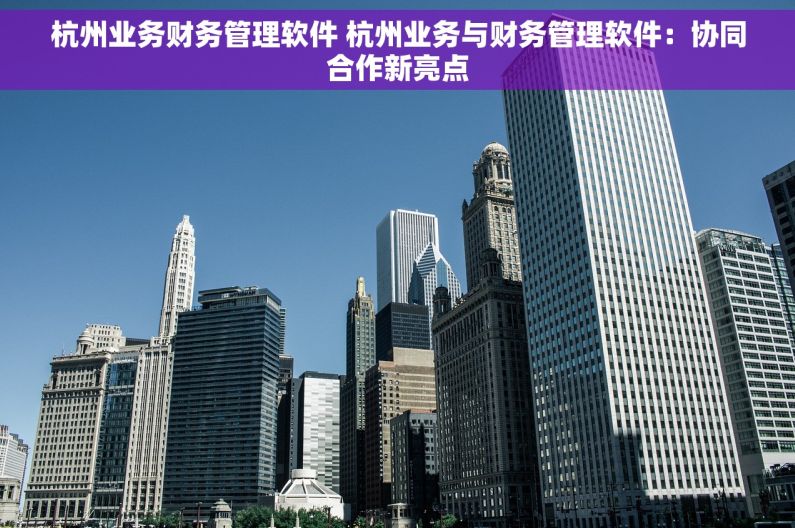 杭州业务财务管理软件 杭州业务与财务管理软件：协同合作新亮点