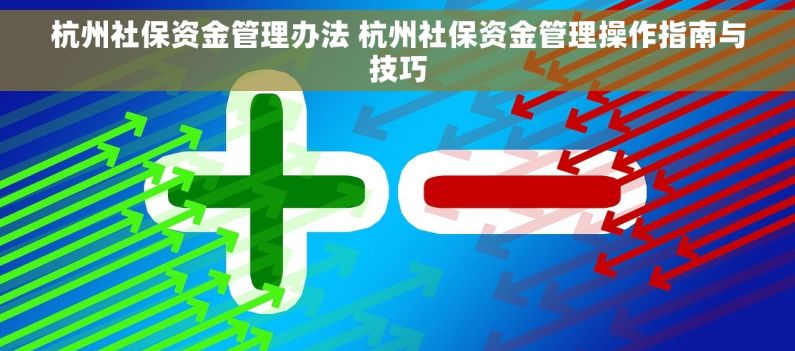 杭州社保资金管理办法 杭州社保资金管理操作指南与技巧